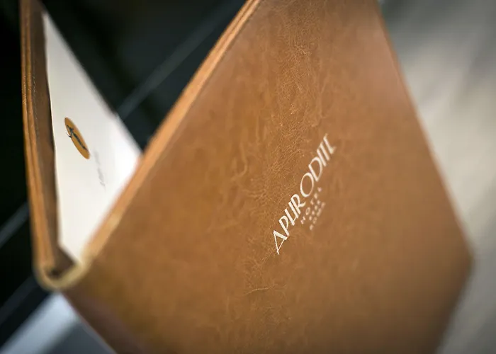 阿佛罗蒂特酒店 酒店 4*